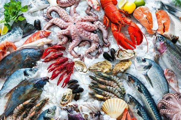Seafood Expo North America 2026